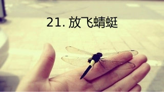 21放飞蜻蜓