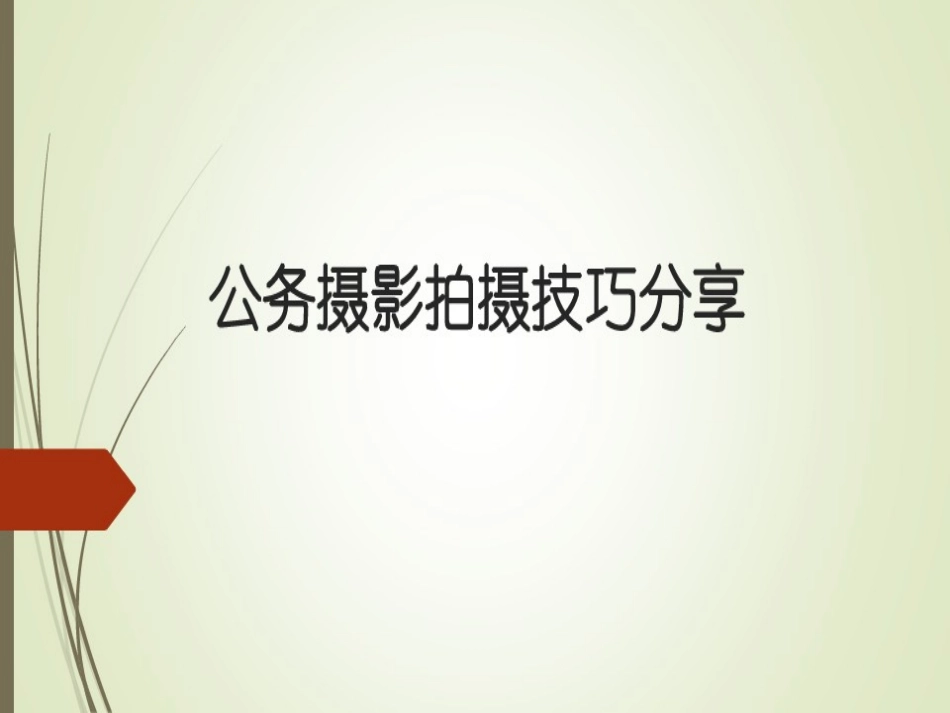 公务摄影拍摄技巧分享_第2页