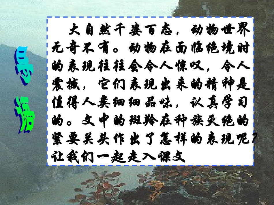 《斑羚飞渡》533_第2页