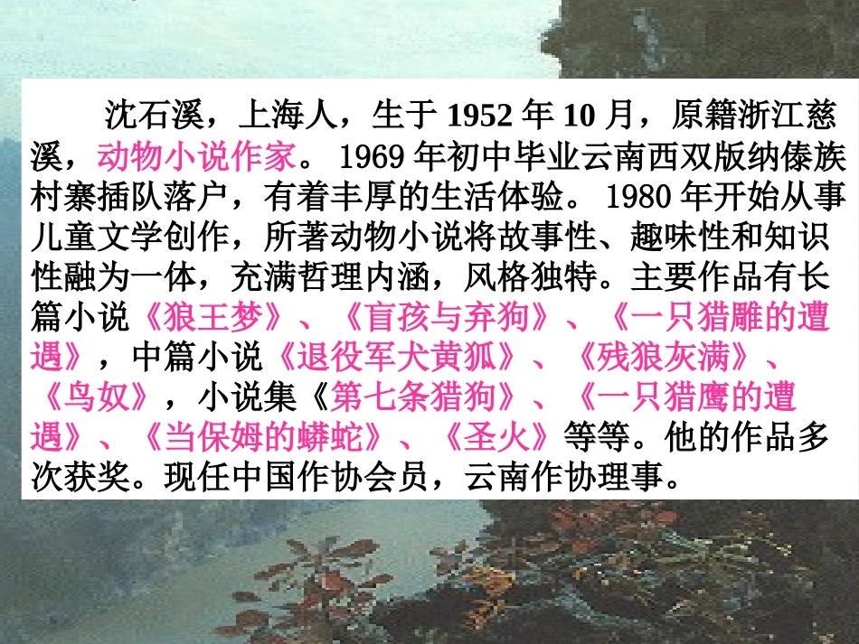 《斑羚飞渡》533_第3页