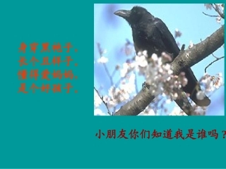 乌鸦喝水课件修改