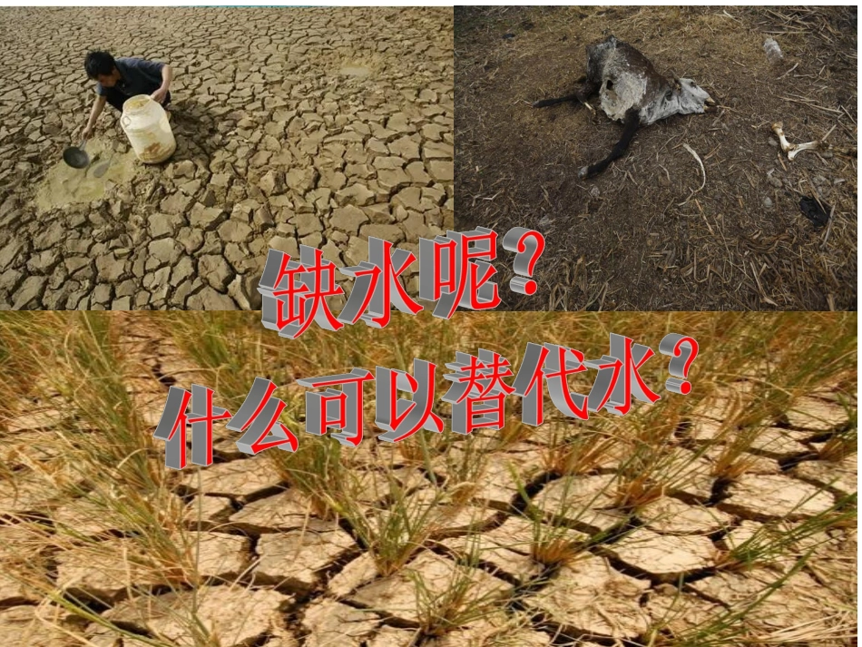 第三节水资源_第3页