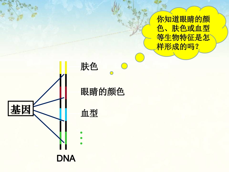 遗传信息的转录和翻译_第1页