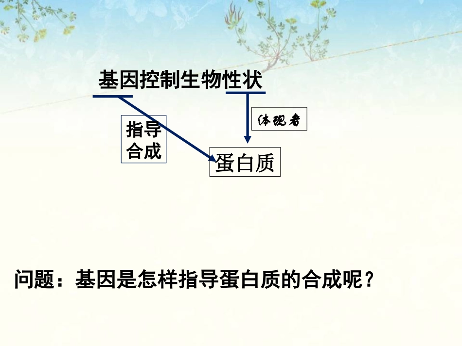 遗传信息的转录和翻译_第2页