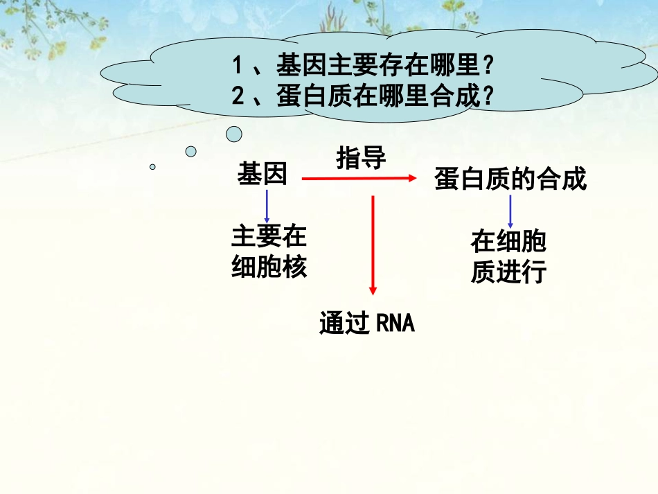 遗传信息的转录和翻译_第3页