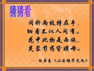 《石榴》教学课件-(2)