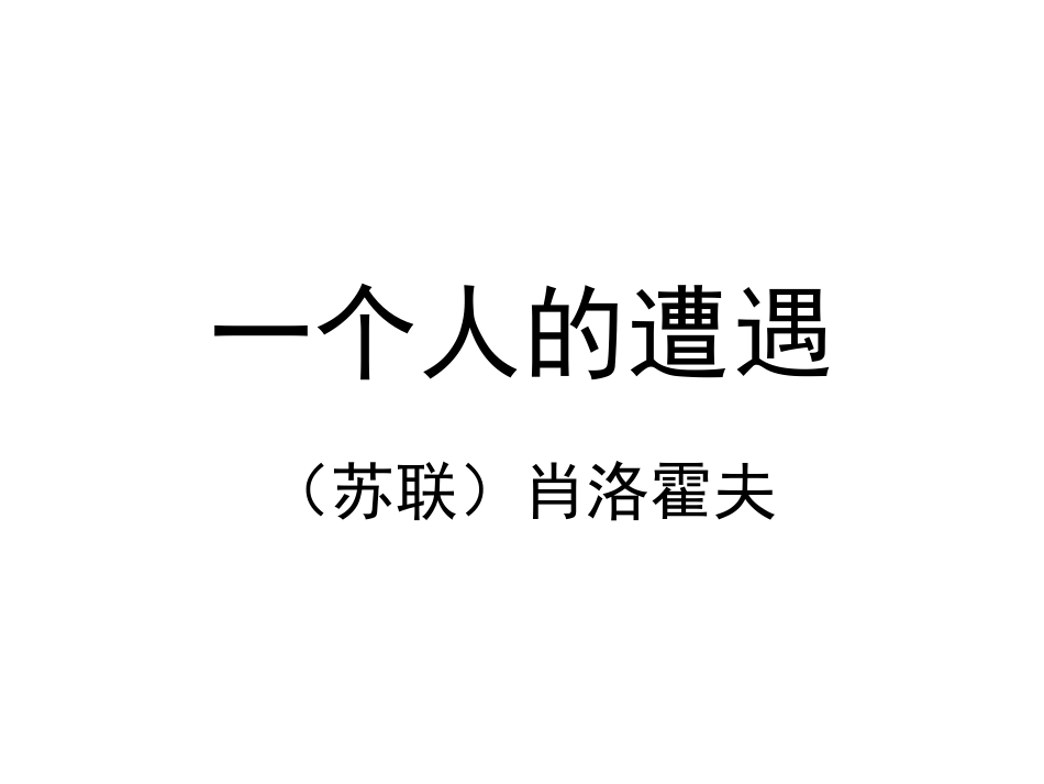 一个人的遭遇_第1页