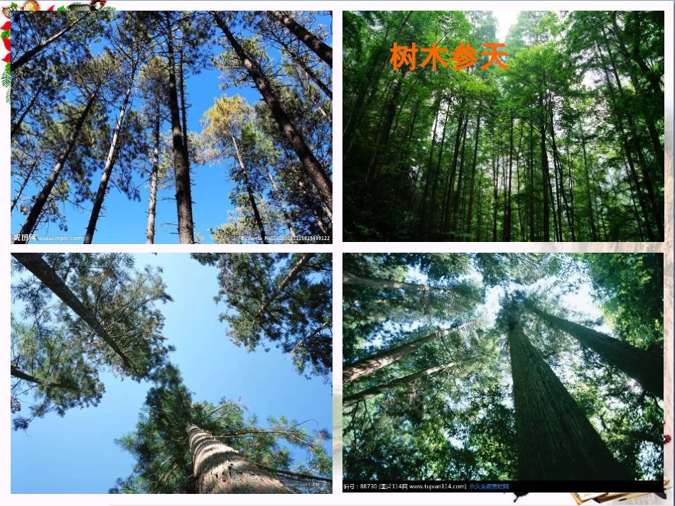 第19课-爱护家园_第3页