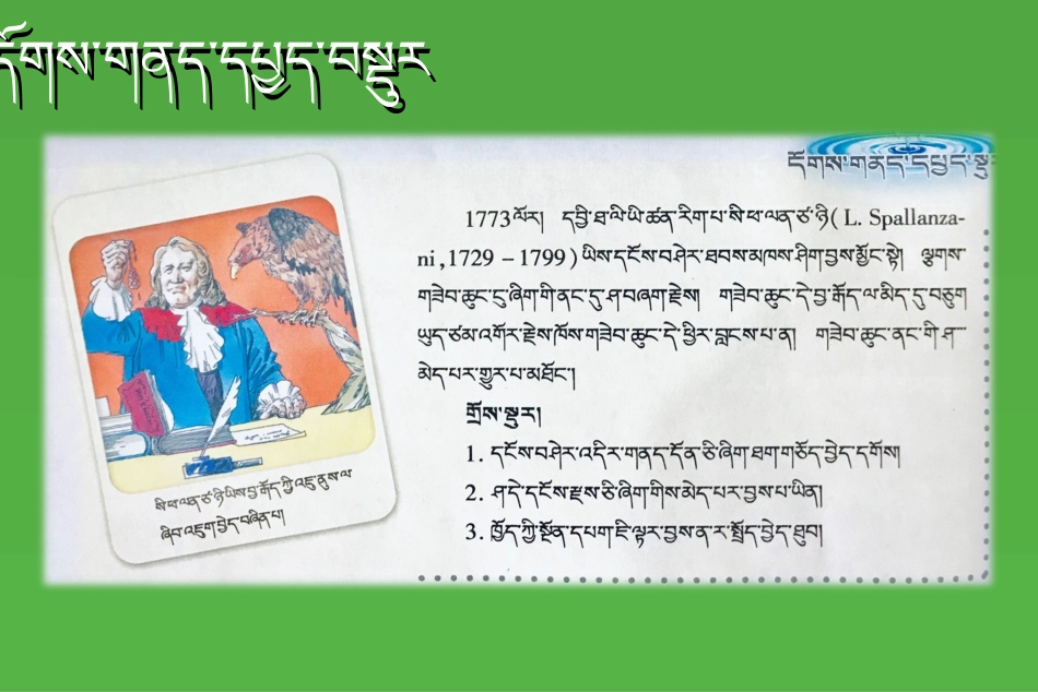 酶与酶促反应_第2页