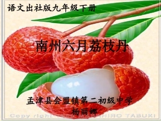 18.南州六月荔枝丹