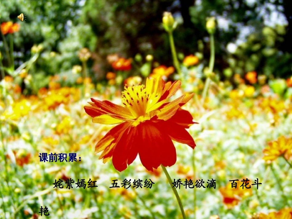 15《一路花香》ppt课件1_第1页