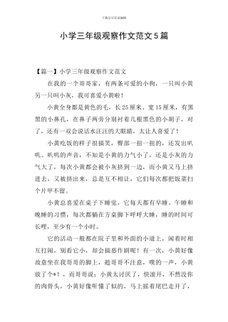 小学三年级观察作文范文5篇