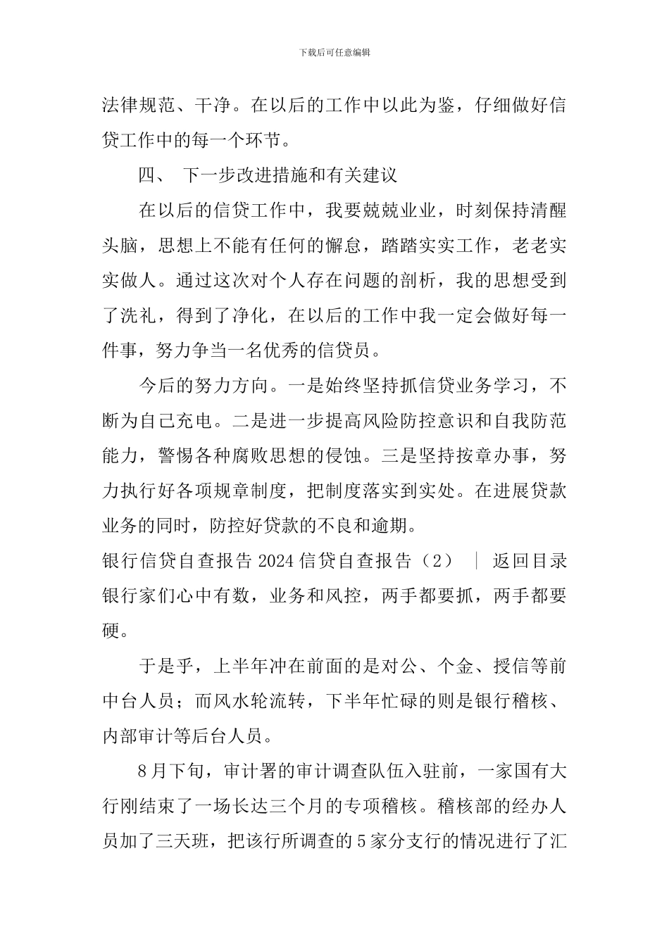 2024信贷自查报告3篇_第3页