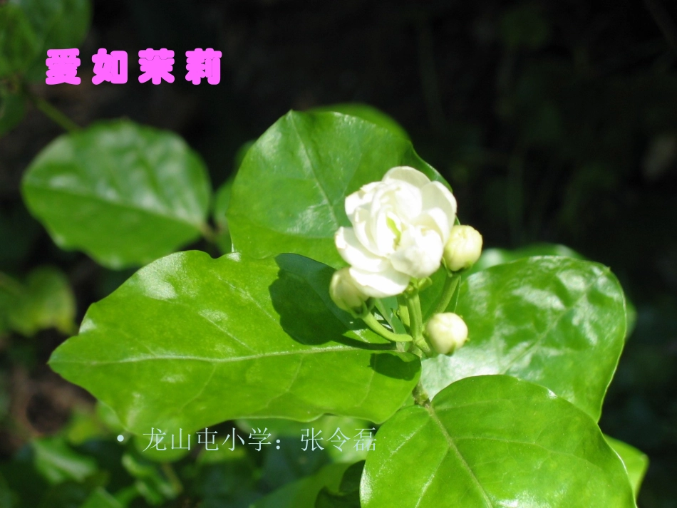 《爱之链》课件2_第2页