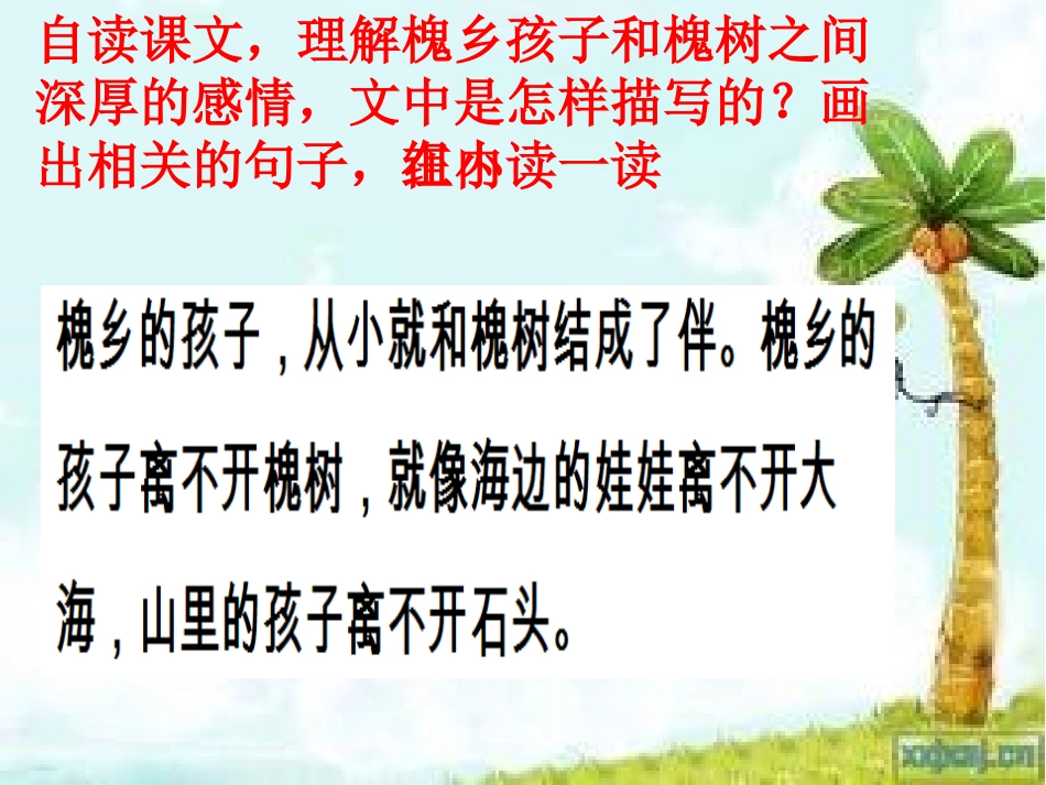 《槐乡的孩子》课件_第3页