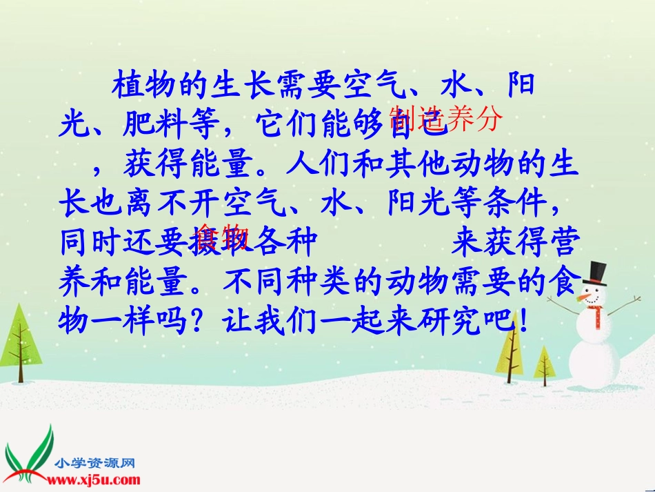 5动物的食物_第2页