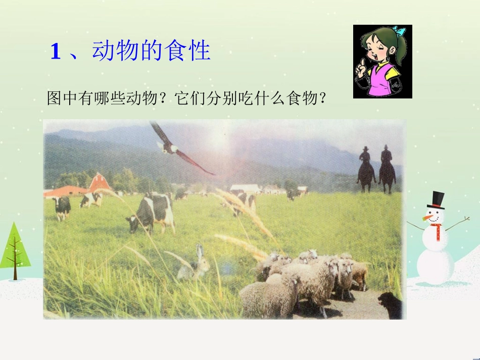 5动物的食物_第3页