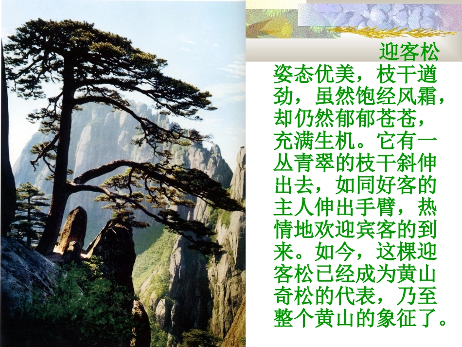 17黄果树瀑布_第3页