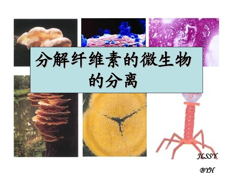 课题3-分解纤维素的微生物的分离-(2)_第1页