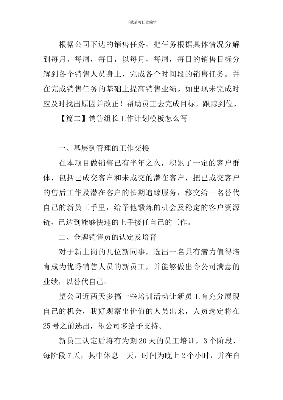 销售组长工作计划模板怎么写_第3页