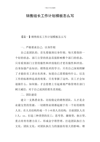 销售组长工作计划模板怎么写
