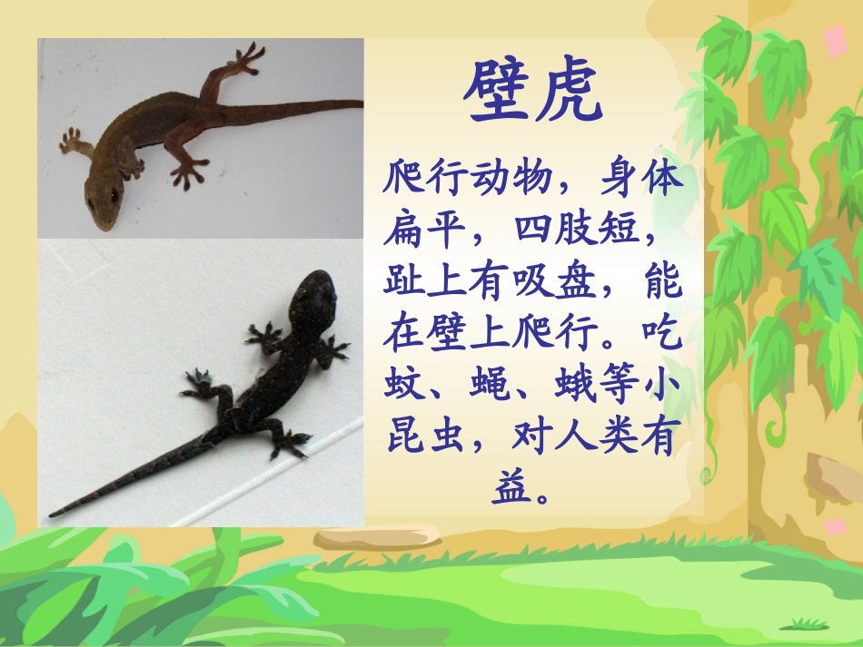 19小壁虎借尾巴_第2页
