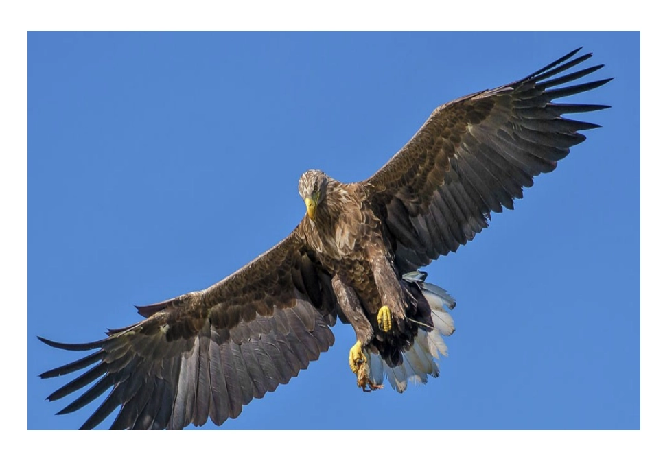 15-坚持才会有收获-(2)_第3页