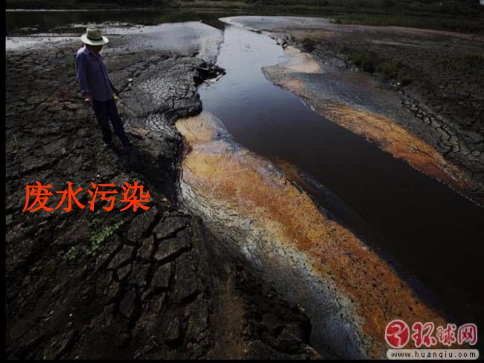 第三节-拟定保护生态环境的计划-(3)_第2页