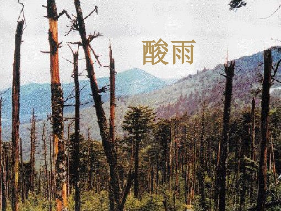 第三节-拟定保护生态环境的计划-(3)_第3页