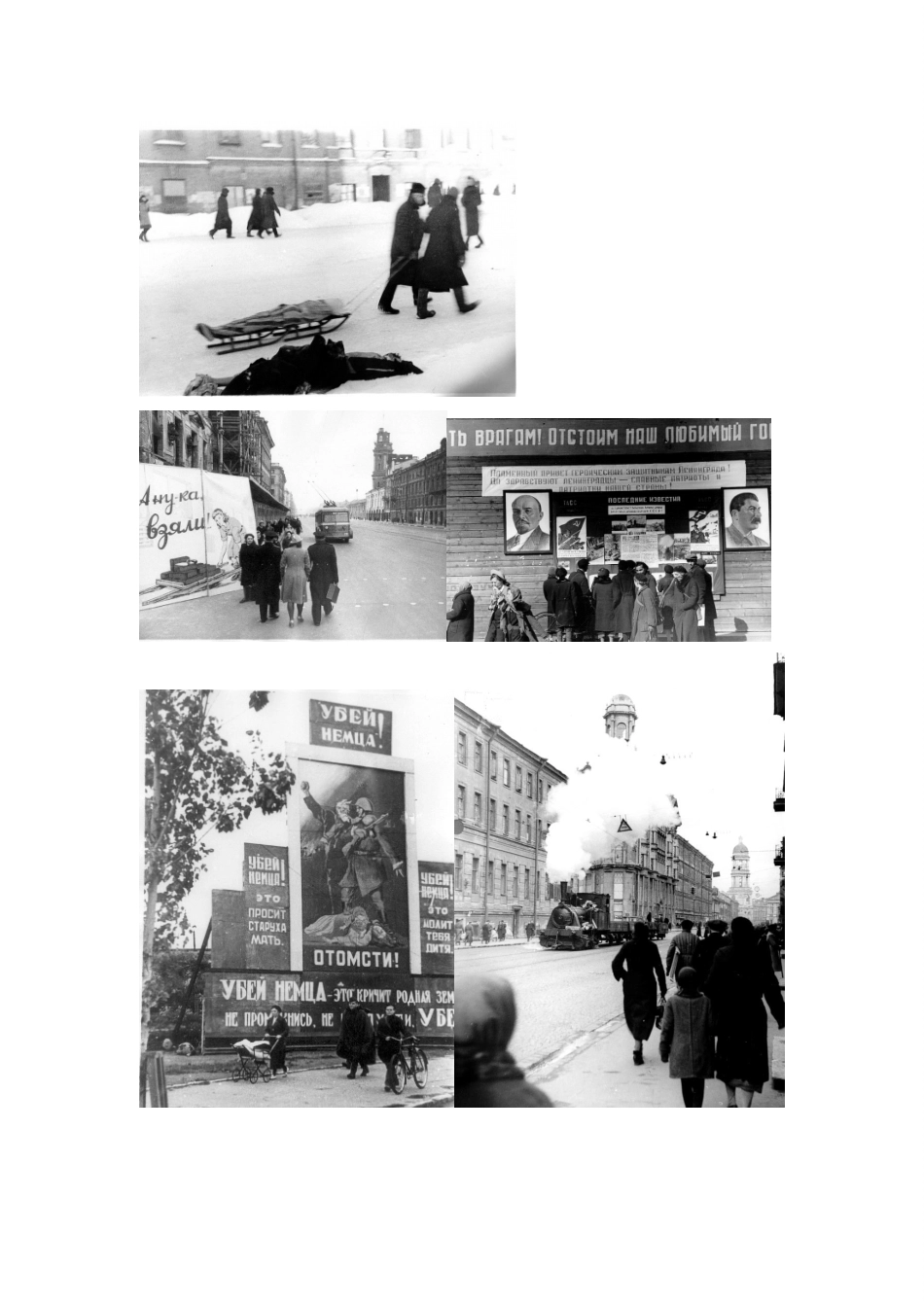 山东升滕州市八年级语文上册 第二单元 比较探究《列宁格勒的树》教案 北师大版-北师大版初中八年级上册语文教案_第3页