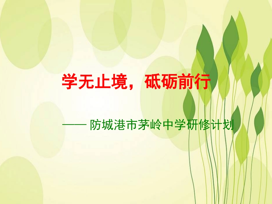 茅岭中学研修计划_第1页
