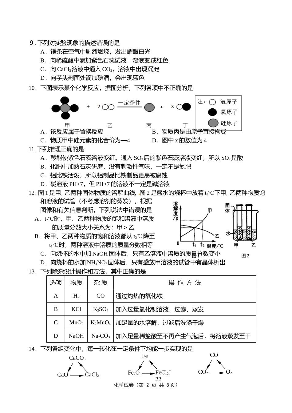 九年级化学模拟试卷_第2页