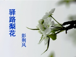 (部编)初中语文人教2011课标版七年级下册《驿路梨花》ppt-(6)