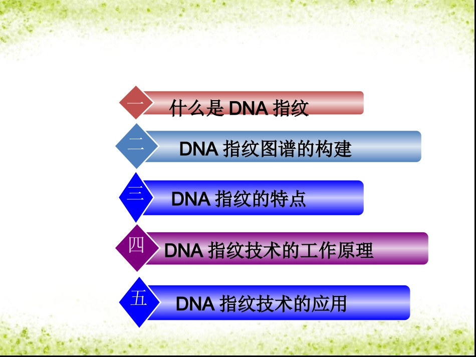科学·技术·社会-DNA指纹技术_第2页