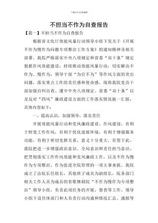 不担当不作为自查报告
