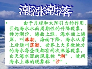 听潮-(2)