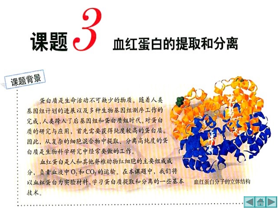 课题3-血红蛋白的提取和分离_第2页
