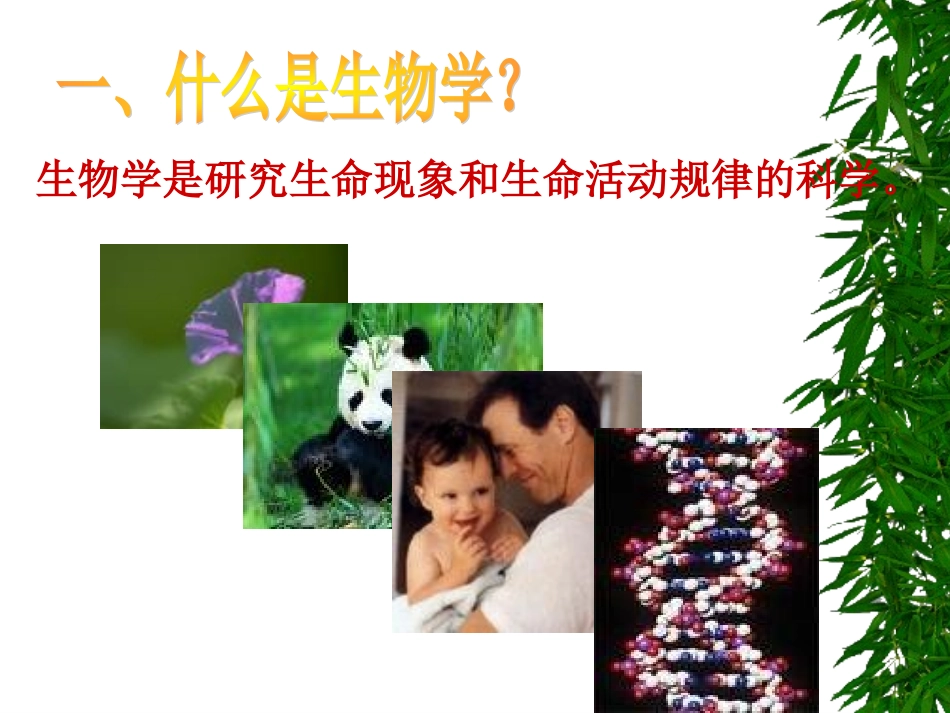 致同学们-(2)_第3页