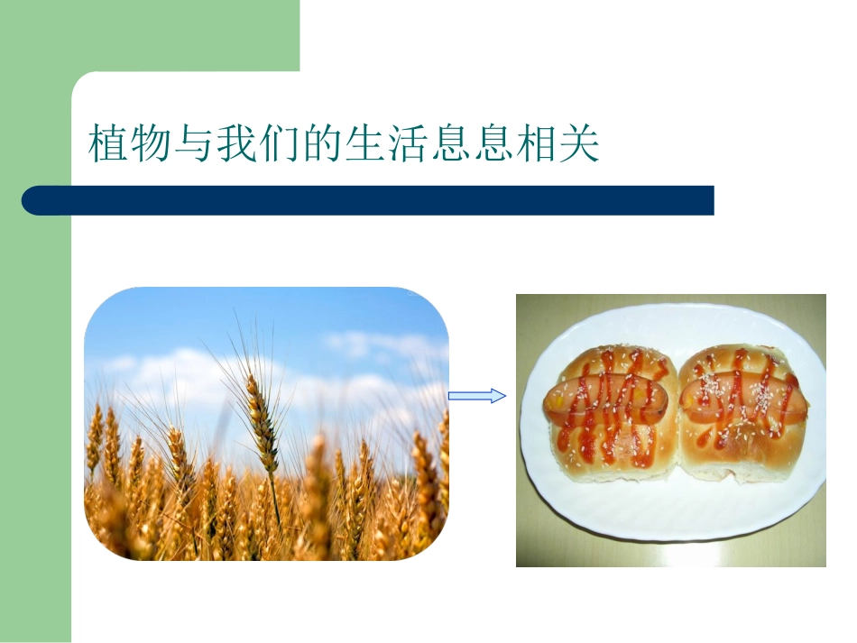 生物多样性的意义_第3页