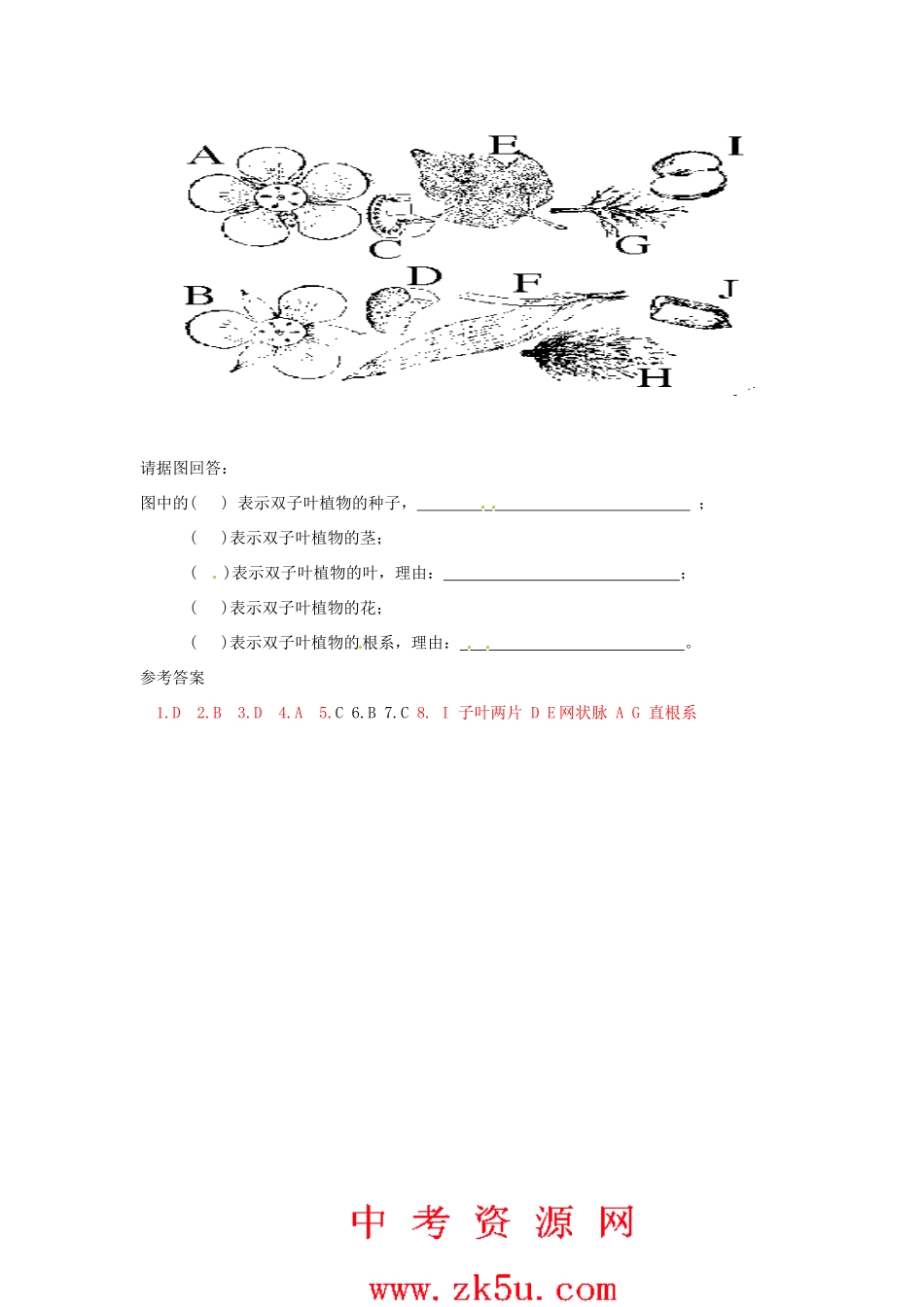 科学：6.2 植物的主要类群同步练习（华师版七年级上）_第2页