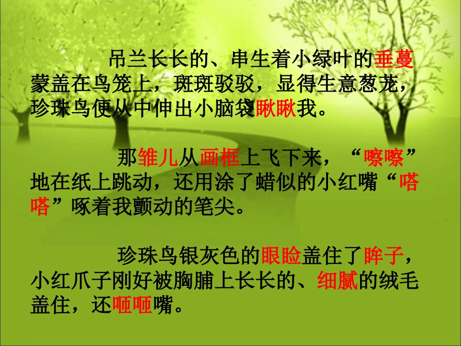 五年级语文上册第四组16.珍珠鸟第一课时课件_第3页