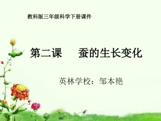 蚕的生长变化ppt课件