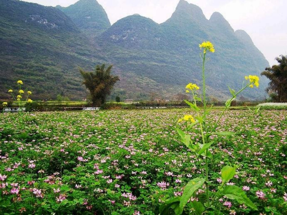 一年级语文下册识字1课件(2)_第3页