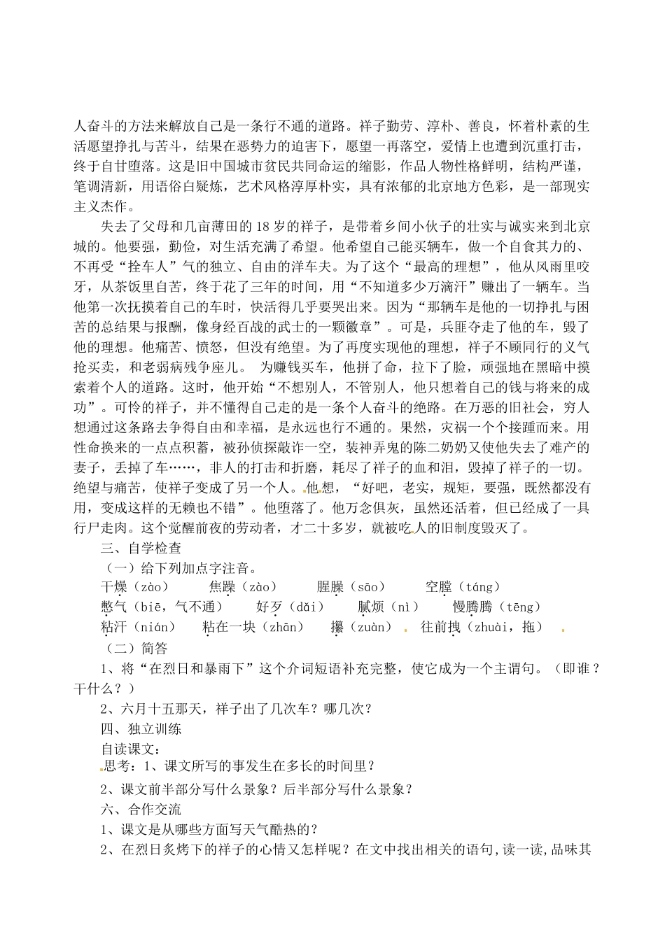 江苏省盐城市亭湖新区实验学校九年级语文上册 7 在烈日和暴雨下教案 苏教版_第2页