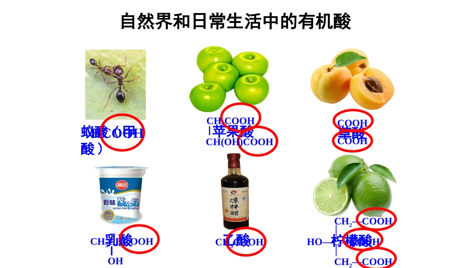 5、羧酸-氨基酸和蛋白质_第2页
