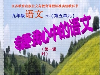 专题我心中的语文