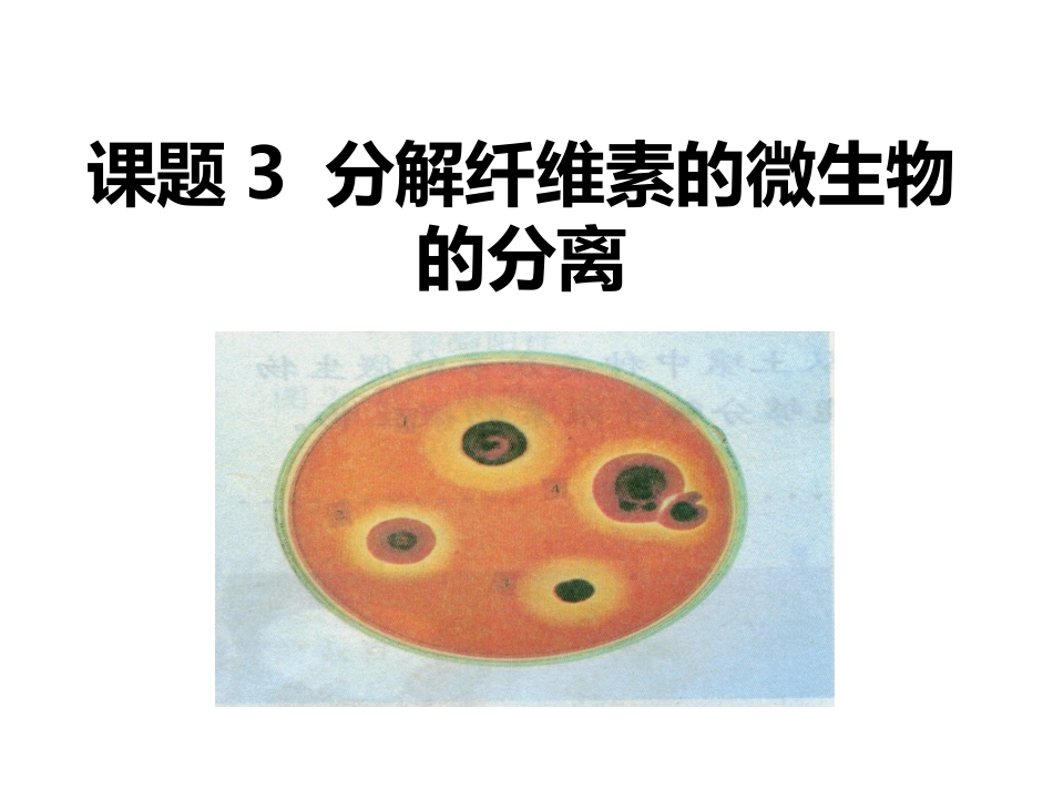 课题3-分解纤维素的微生物的分离-(7)_第1页