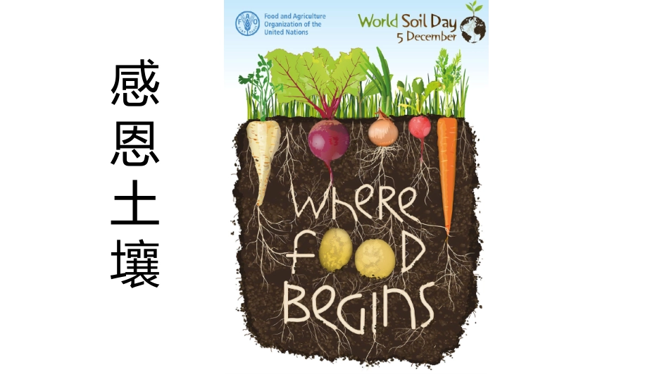 问题研究-月球基地该是什么样子_第2页