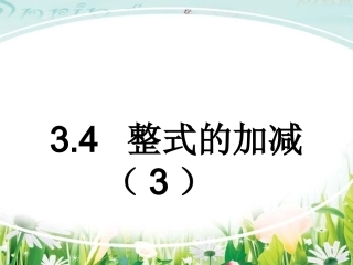整式的加减-(3)