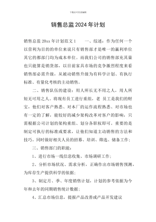销售总监2024年计划